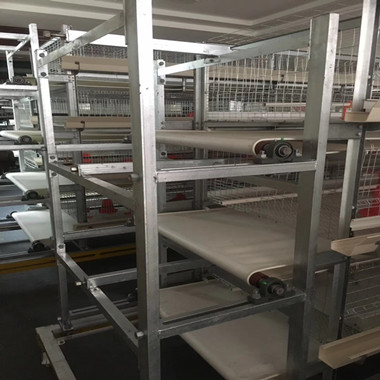 清糞帶使用現(xiàn)場